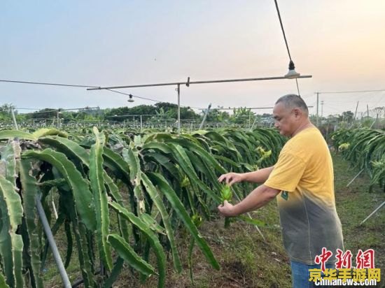 原神图纸果农的勤俭 原神：探索果农的勤俭之道，解锁田园新篇章