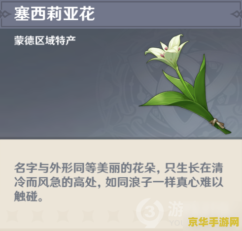 原神小麦在哪里采 原神小麦采集指南