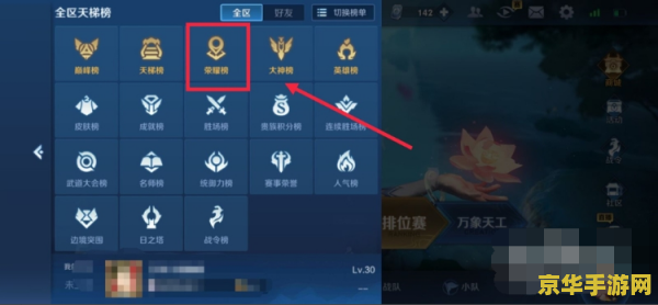 王者荣耀 国服排名怎么看 王者荣耀：如何查看国服排名