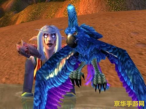 魔兽世界宠物 魔兽世界：探索多彩宠物世界
