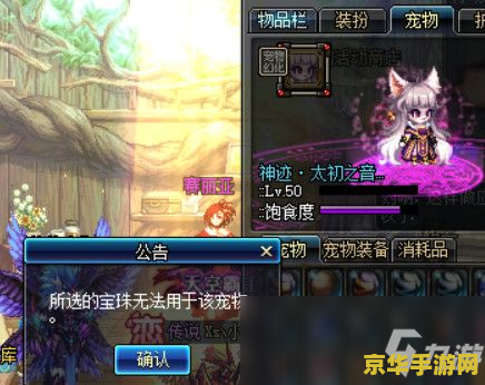 dnf宠物进化 DNF宠物进化：探索无限可能的冒险伙伴