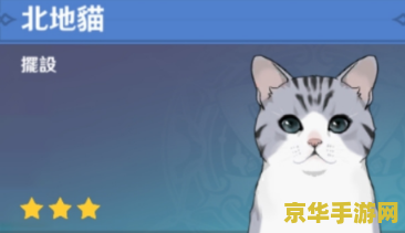 原神小白猫在哪里抓 原神小白猫捕捉指南