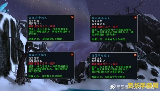 霍迪尔之子战袍 霍迪尔之子战袍：荣耀与传承的象征