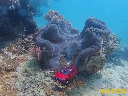 原神荒海海底怎么进 原神荒海海底探索指南