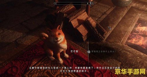 上古卷轴5熊皮 上古卷轴5：天际中的珍贵资源——熊皮