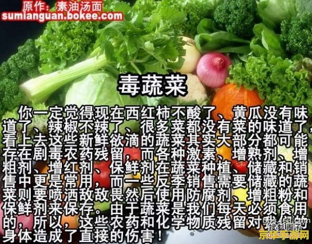 原神食物袋怎么制作 原神食物袋制作指南