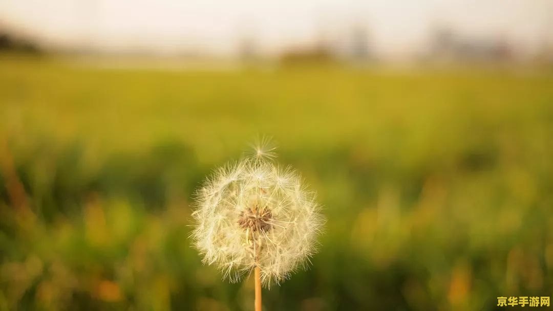 原神寻找蒲公英种子 原神：探索广袤大地，寻觅蒲公英种子的奇妙之旅