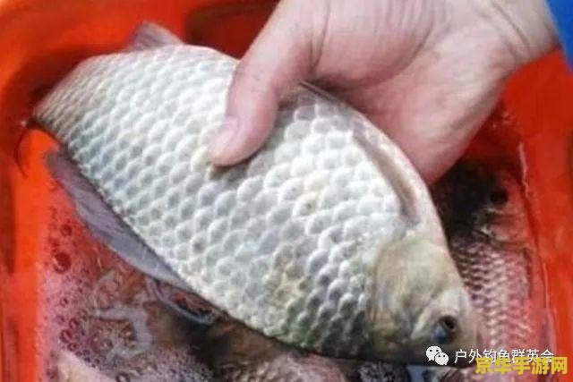 原神炮鲀鱼吃什么鱼饵 原神炮鲀鱼吃什么鱼饵