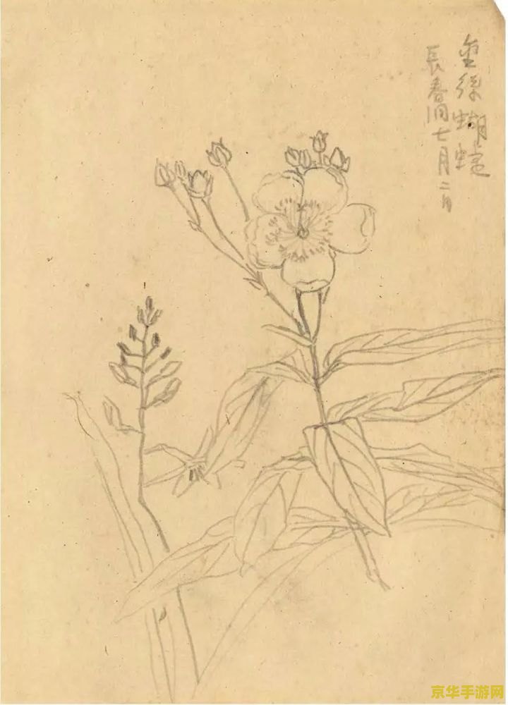 原神丢失的画稿在哪 原神丢失的画稿寻踪