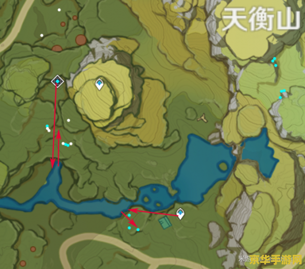 原神清心分布 原神清心分布详解