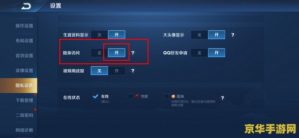 王者荣耀隐身访问人数怎么看 王者荣耀隐身访问人数怎么看