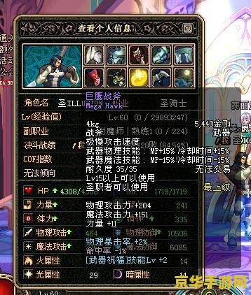圣骑士装备 圣骑士的荣耀装备