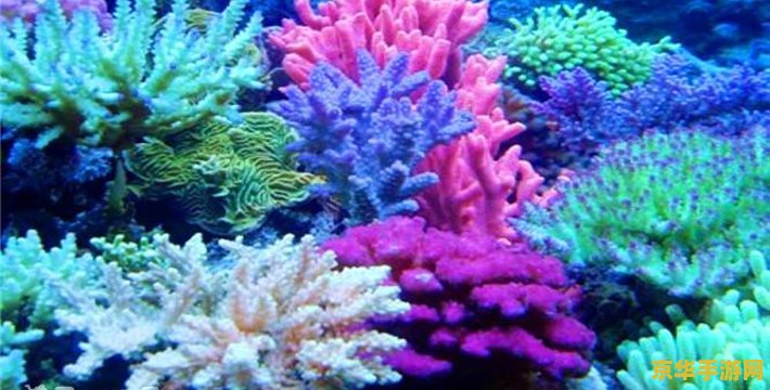 原神珊瑚宫心海珊瑚珍珠 原神珊瑚宫心海与珍稀珊瑚珍珠：深海秘境的守护者