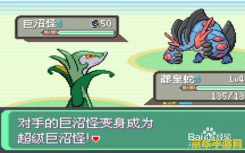 口袋妖怪究极绿宝石4 口袋妖怪究极绿宝石4：探索无限可能的冒险之旅