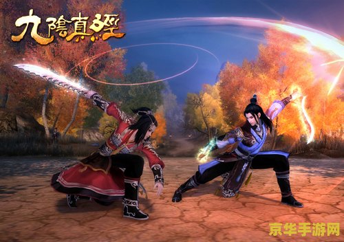 九阴真经剧本 九阴真经：武林风云再起