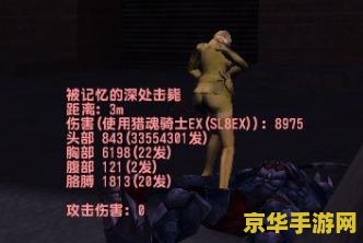 csol猎魂骑士ex CSOL猎魂骑士EX：暗夜中的灵魂猎手