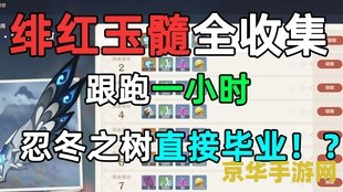 原神绯红玉髓可以升到多少级 原神绯红玉髓可以升到多少级