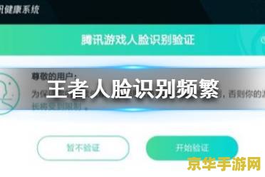 王者荣耀人脸识别怎么避开 王者荣耀人脸识别如何避开？