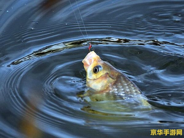 原神钓不上来鱼怎么办 原神钓不上来鱼怎么办？掌握钓鱼技巧，满载而归！
