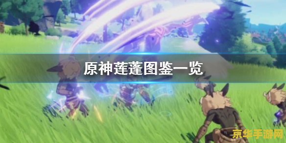 原神璃月莲蓬在哪里找 原神璃月莲蓬采集与购买指南