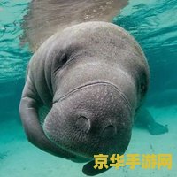 英雄联盟火力全开时间2022 英雄联盟火力全开盛宴：2022年度狂欢解析