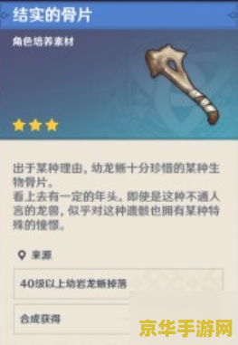 原神中结实的骨片有什么用 原神中结实的骨片的多重用途