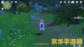 原神碎片轻策庄最高处 探索原神：轻策庄之巅，解锁碎片之谜