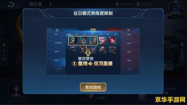 王者荣耀禁用英雄是怎么办 王者荣耀禁用英雄策略与影响分析
