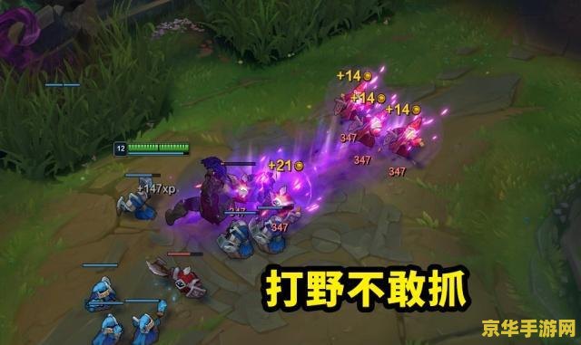 英雄联盟之单挑无敌 英雄联盟：单挑之巅，无敌传说