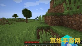 原神清心阿桂 原神中的清心与阿桂：探索璃月山间的珍稀与温情