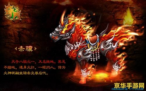 斗战神灵猴用什么灵兽 斗战神灵猴最佳灵兽选择分析