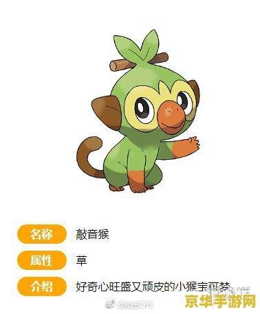 宠物小精灵剑盾 宠物小精灵剑盾：探索伽勒尔地区的奇幻冒险