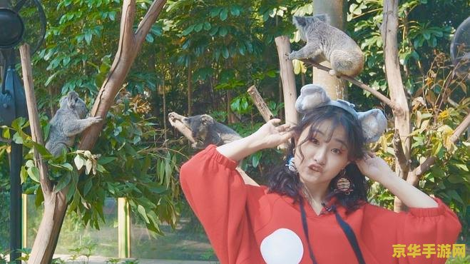 原神珍奇动物 原神：探索珍奇动物的奇幻之旅