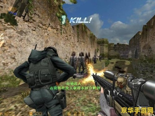 csol骨灰盒 CSOL骨灰盒：揭秘稀有道具背后的游戏魅力