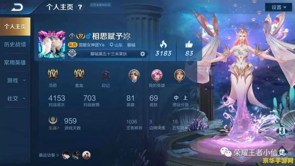 王者荣耀怎么成为大神观看 王者荣耀：从新手到大神的蜕变之路