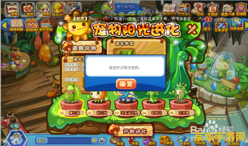 洛克王国武斗空间 洛克王国武斗空间：激战与策略的碰撞