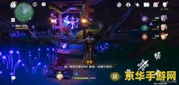 原神留念镜任务中结界在哪里 原神留念镜任务中结界位置详解