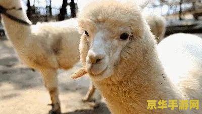 原神羊驼界面 原神中的奇幻生物：羊驼界面背后的探索与想象