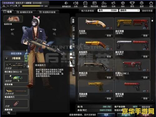 csol荣誉任务 CSOL荣誉之路：解锁至高荣耀的挑战
