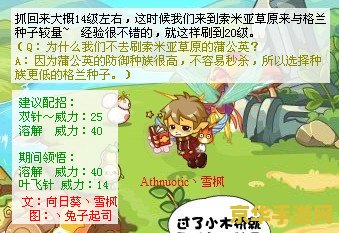 洛克王国卷尾虫 洛克王国：探索卷尾虫的奇妙世界