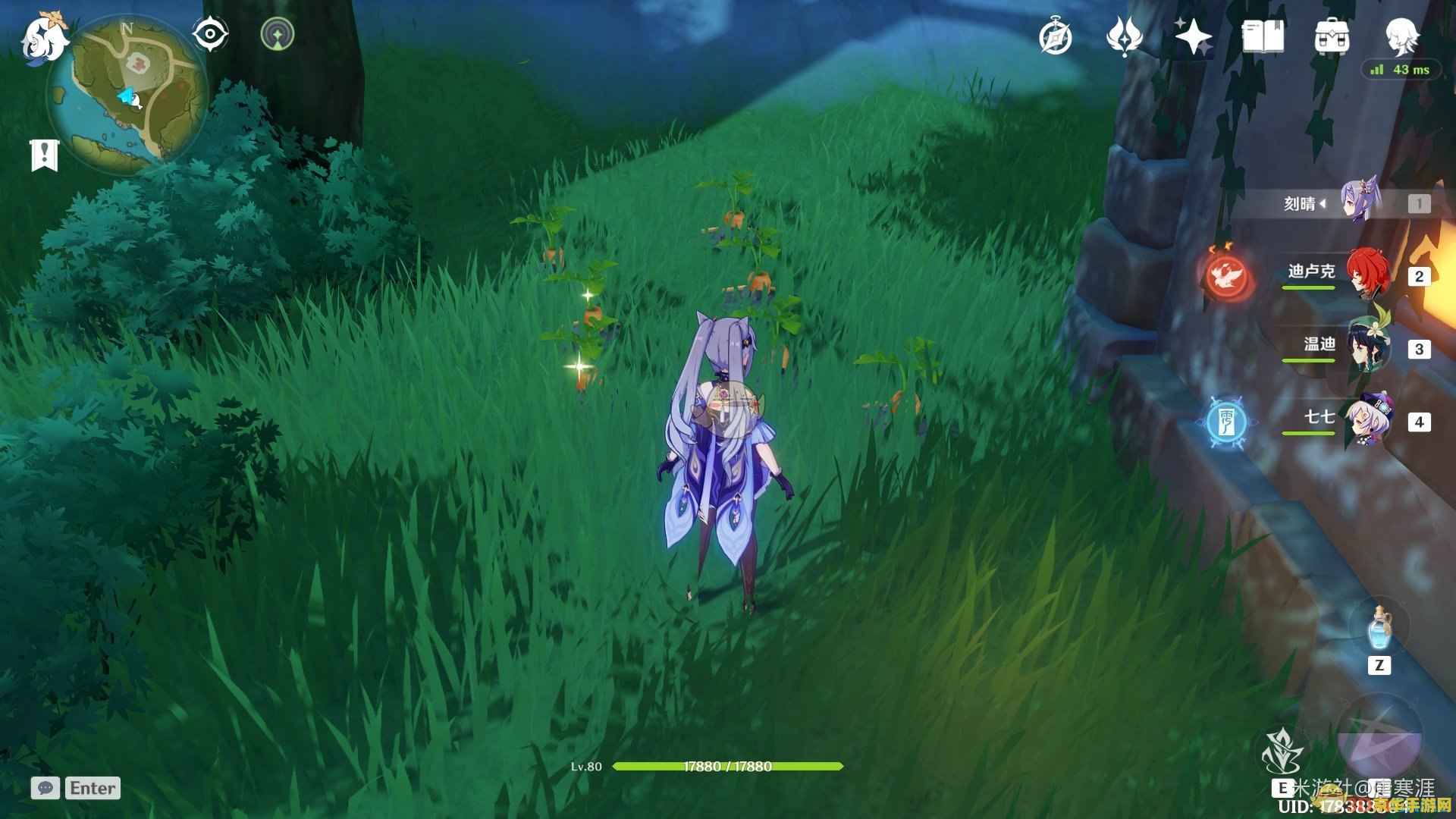 原神萝卜在哪里收集 原神萝卜收集指南 原神萝卜在哪里收集 原神萝卜收集指南