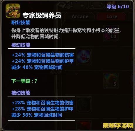 火炬之光法师技能加点 火炬之光法师技能加点策略