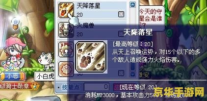冒险岛炎术士技能 冒险岛炎术士技能深度解析