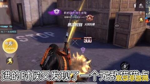 和平精英突变团竞无敌点 和平精英突变团竞：揭秘无敌点策略与战术深度