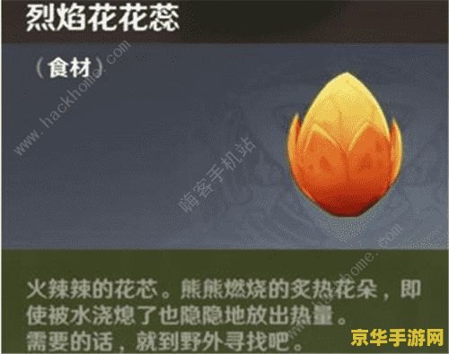 原神烈焰花花蕊长什么样 原神烈焰花花蕊的外观与游戏应用