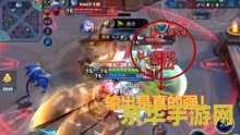 王者荣耀怎么现在有区 王者荣耀的区服划分与游戏体验