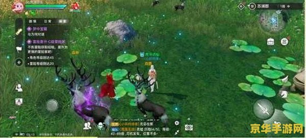 原神洛洛果实 原神中的洛洛果实：探索与冒险的甜蜜馈赠