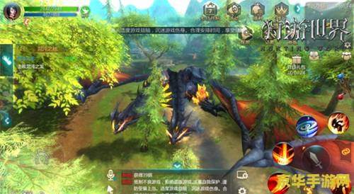 三国杀林包 三国杀林包：深入探索茂密丛林的策略交锋