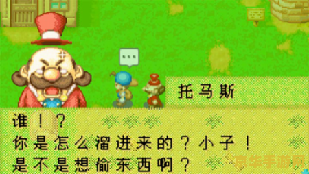 牧场物语矿石镇的伙伴们真实之玉 牧场物语：矿石镇的伙伴们——追寻真实之玉的旅程
