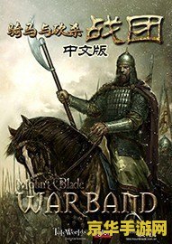 骑马与砍杀战团序列号 骑马与砍杀：战团——中世纪战争与荣耀的史诗之旅
